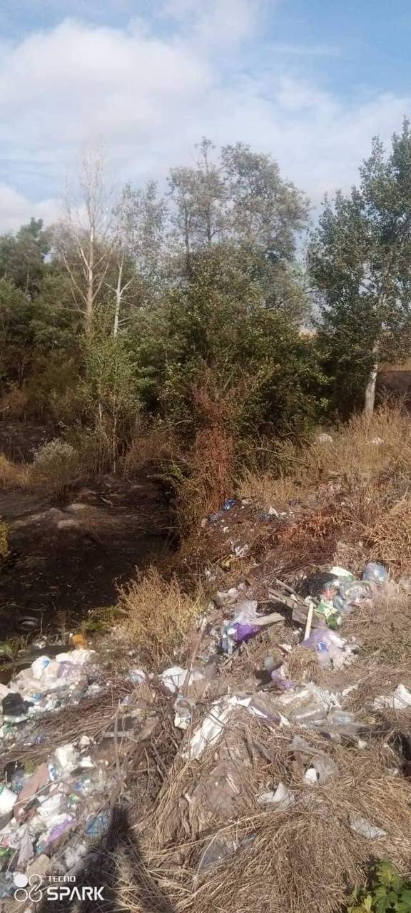 Фото до публікації