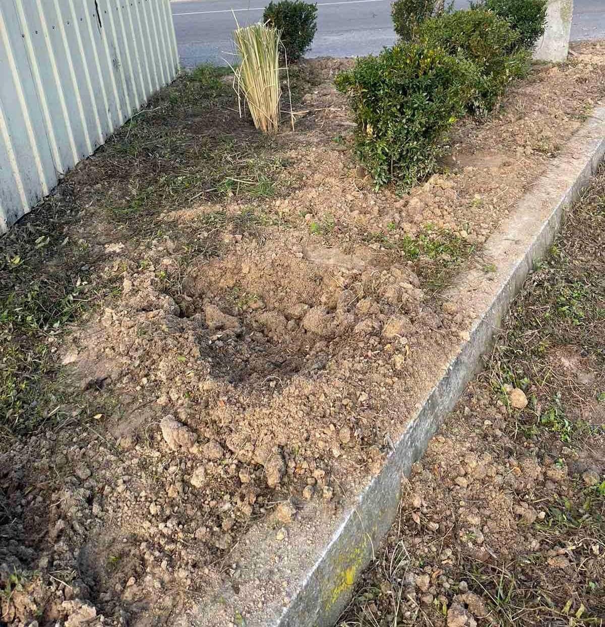 Фото до публікації